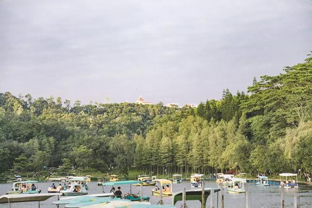 深圳市十大游玩攻略,深圳四天游攻略最佳路线