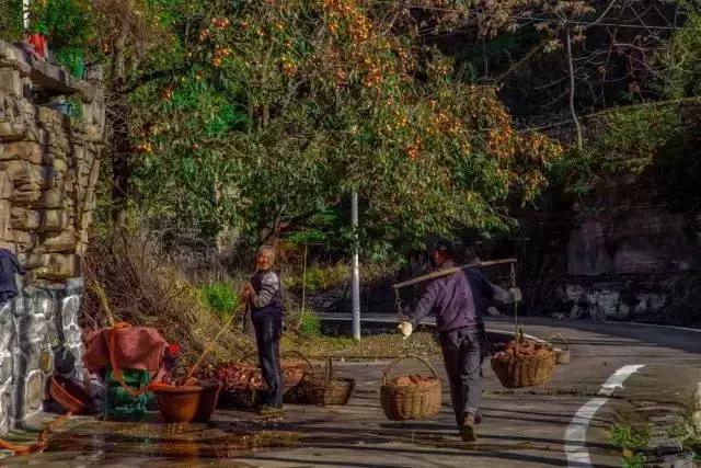 焦作大山深处的景点,焦作古村攻略