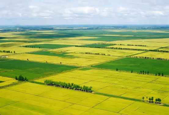 佳木斯是一个什么样的城市,佳木斯几线城市2021排名