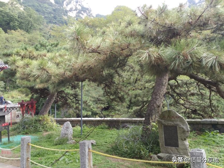 五岳独尊泰山一日游,泰山五岳独尊游记