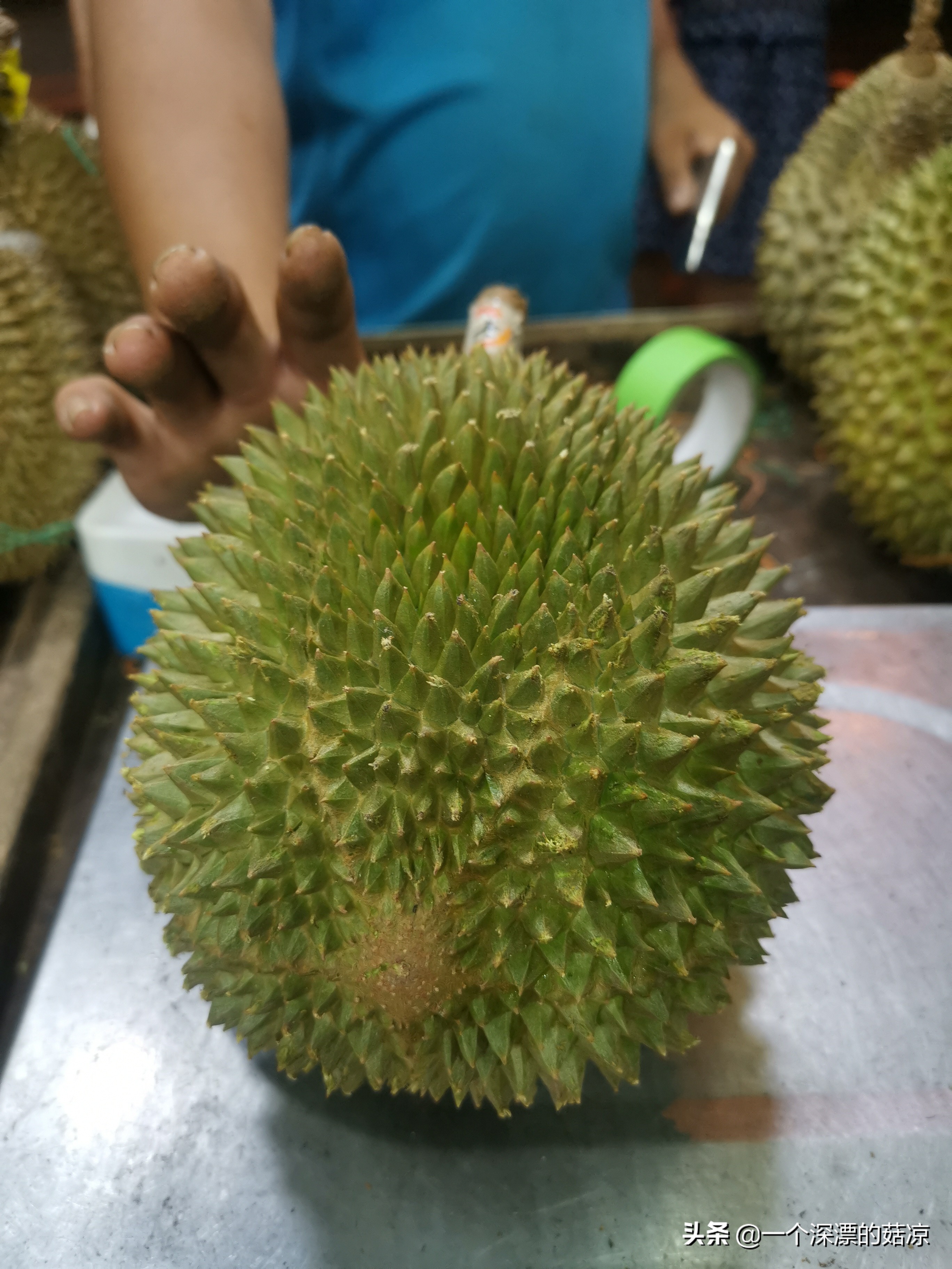 在夏天结束前去海边,在夏天结束之前去一次海边