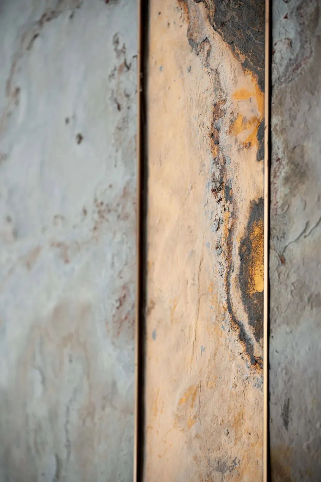 中梁·湖光学府麋鹿·森林书吧