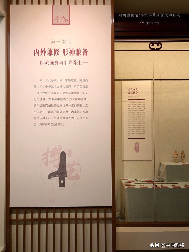 古代的体育运动你知道多少？郑州博物馆看华夏体育*物文**特展