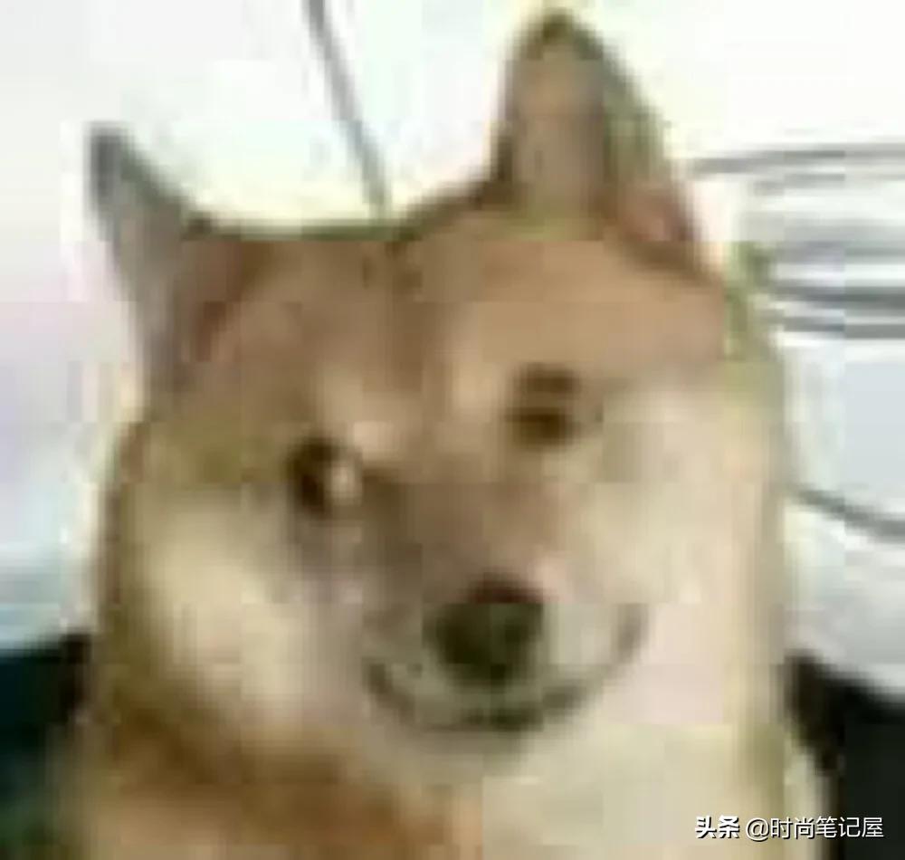 平价百搭帽子分享修饰脸型,怎样选择适合自己的帽子小圆脸