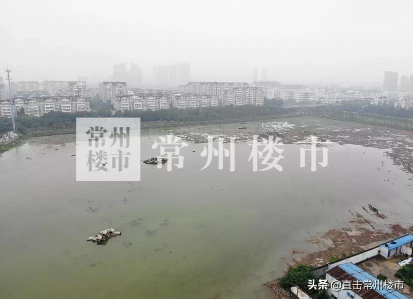 实探4万左右的房子,实探上海楼市大户型被频繁咨询