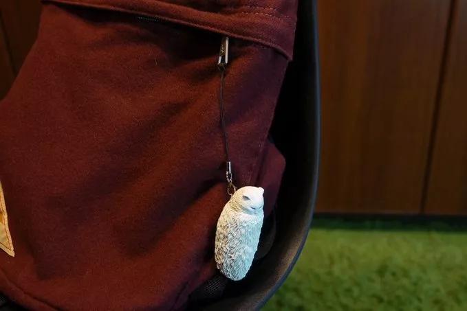 动物表情包沙雕魔性,沙雕动物爆笑瞬间表情包