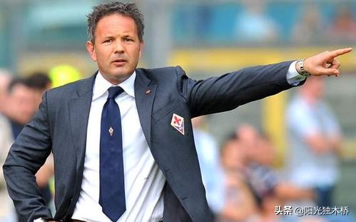 主教练分档,主教练排名顺序