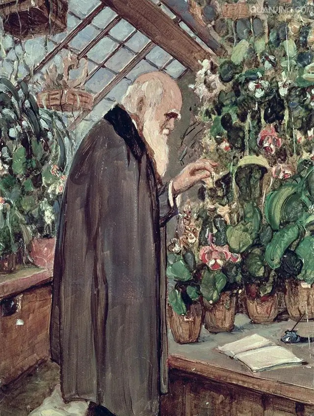 生物进化论的提出者是达尔文吗,达尔文怎么发现进化论