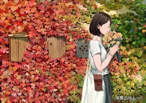 春夏秋冬的爬山虎作文,爬山虎吸引了我作文