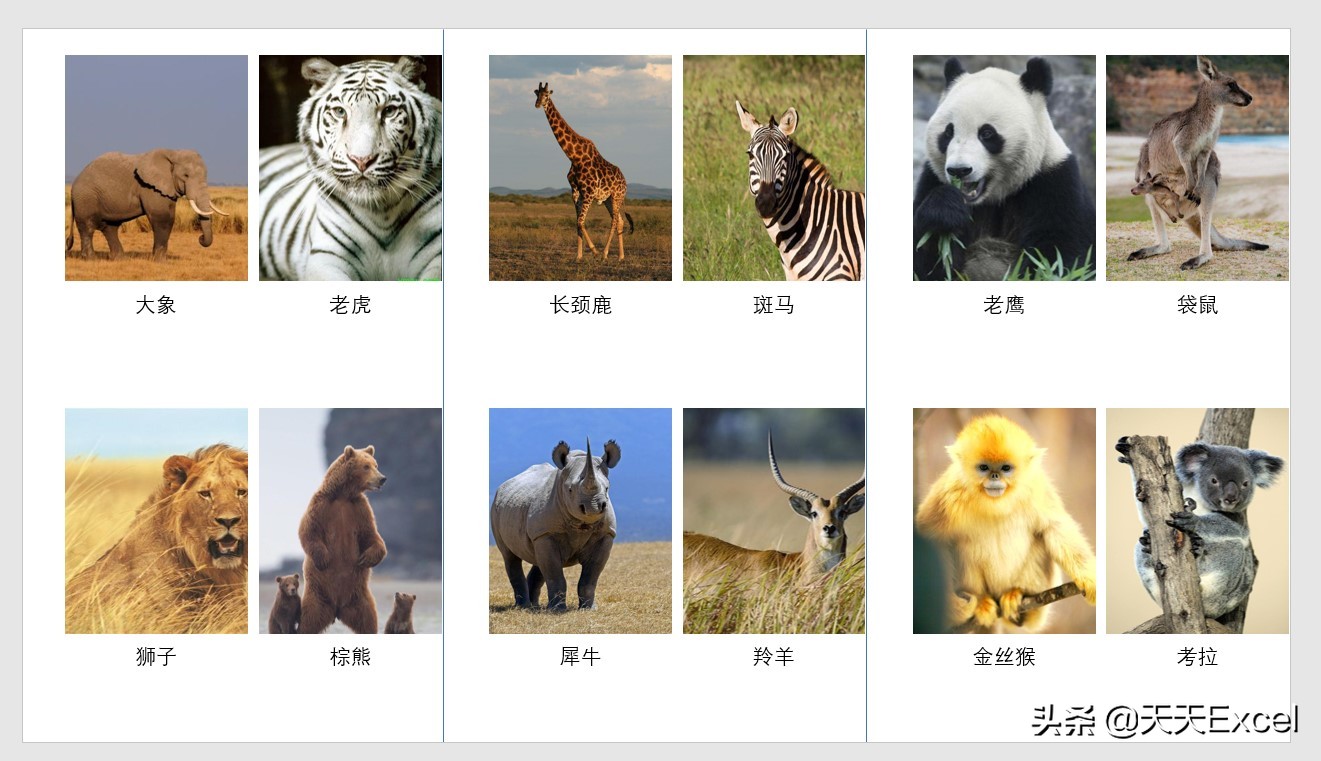 ppt怎么快速对齐排版,wps中多张ppt怎么快速排版图片