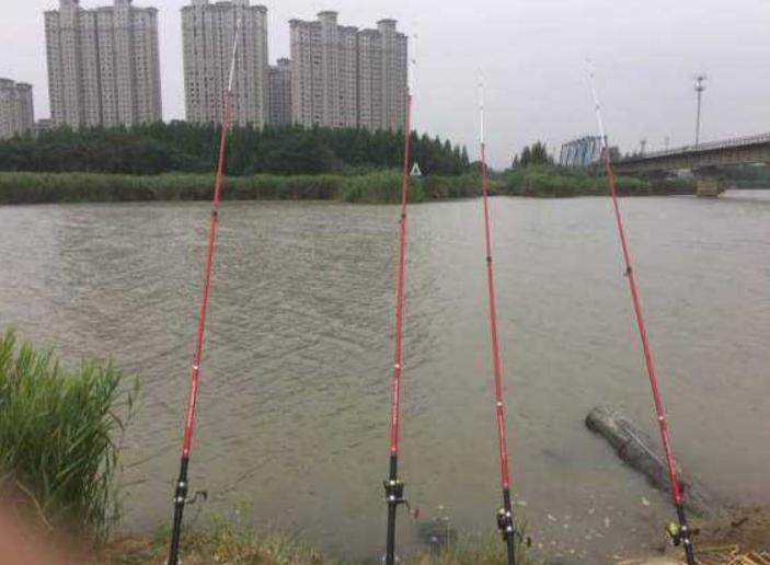 一次可以繁殖多少条鱼,一次最多能钓多少条鱼