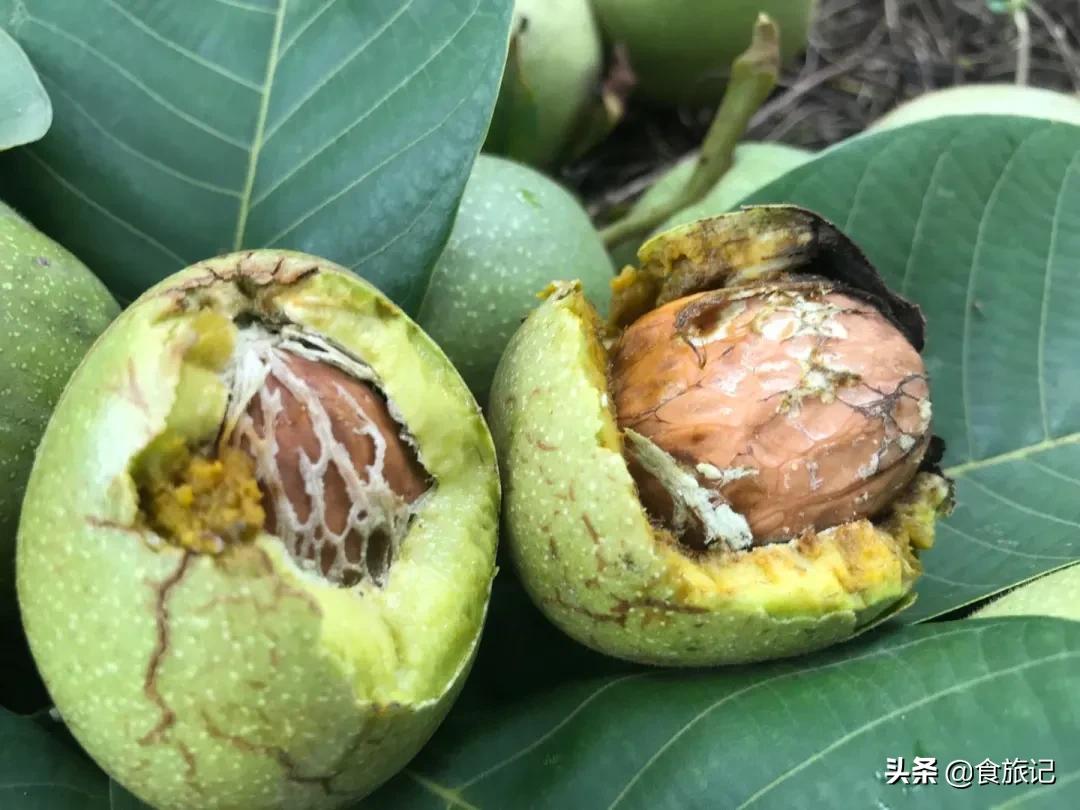 大凉山自然成熟的绿皮核桃,大凉山去青皮鲜核桃果肉饱满
