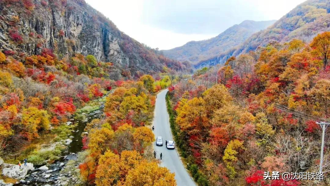 这份攻略带你走进最佳赏枫地,四大赏枫胜地你最想打卡哪个