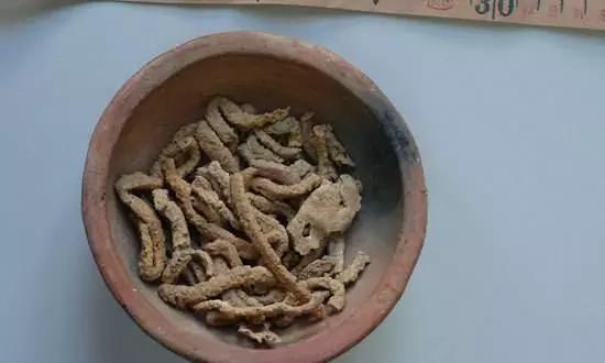 考古挖掘到“战国牛肉”,专家看到后一脸严肃!