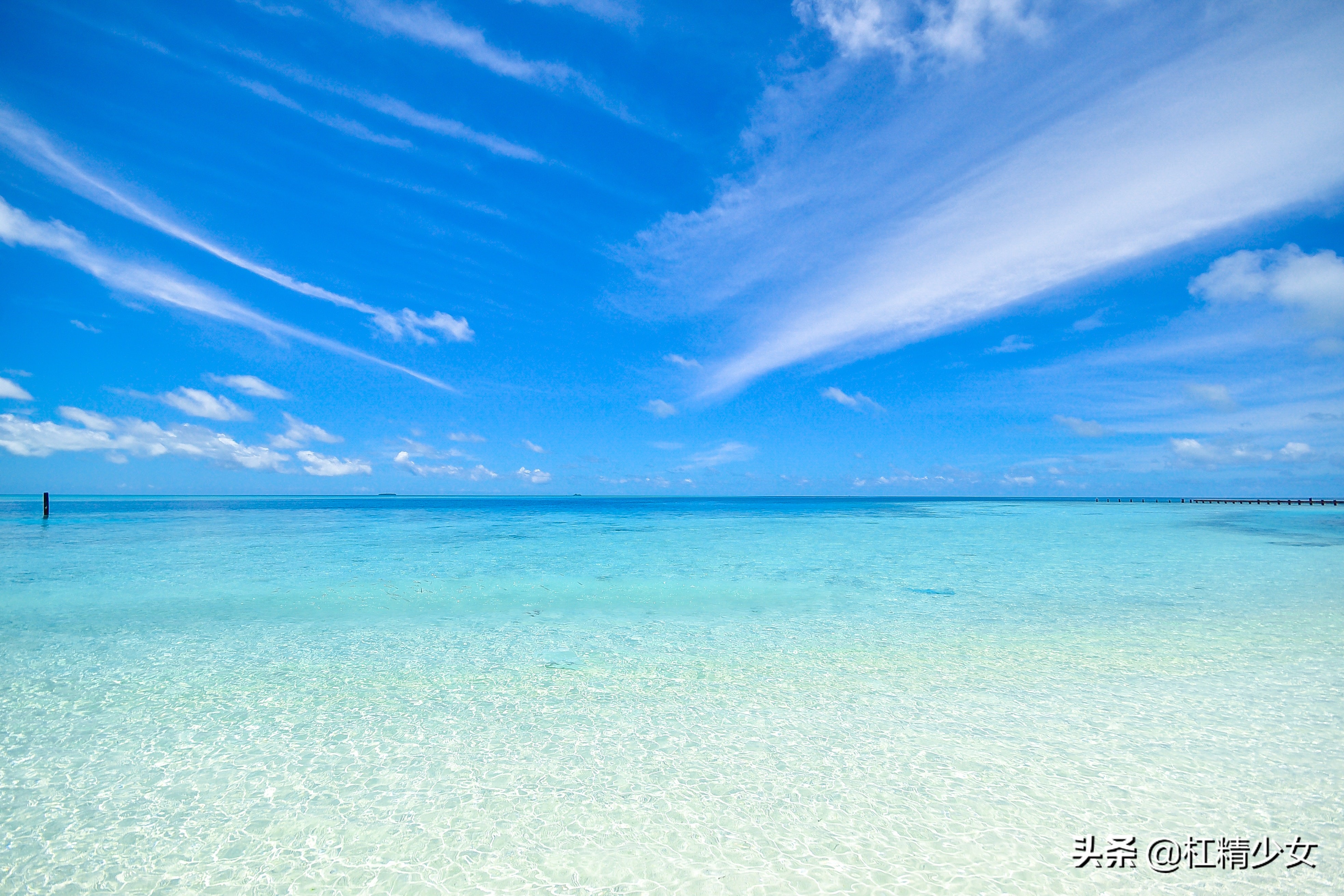 虎牌保温杯和象印保温杯哪个更好,虎牌保温杯和普通保温杯的区别