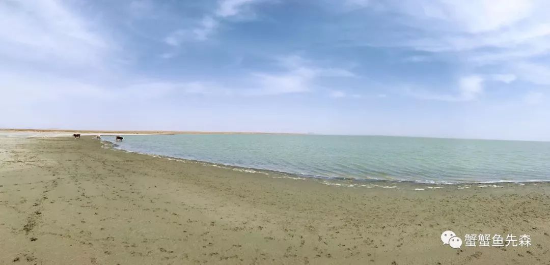 承德到大草原自驾游攻略,北京出发热阿线达达线自驾游攻略