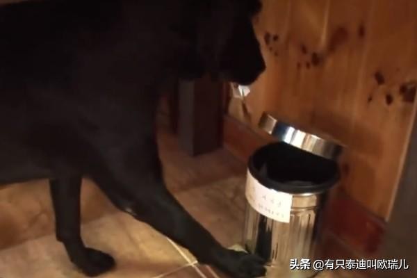 烧烤店迎客递菜单打扫好辛苦？黑拉拉：让专业的来！