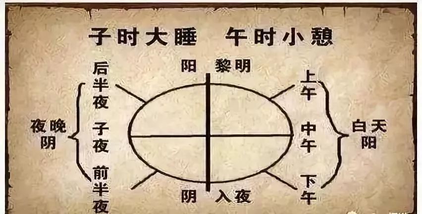 阳气生发的脏腑,怎么生发脾肾的阳气