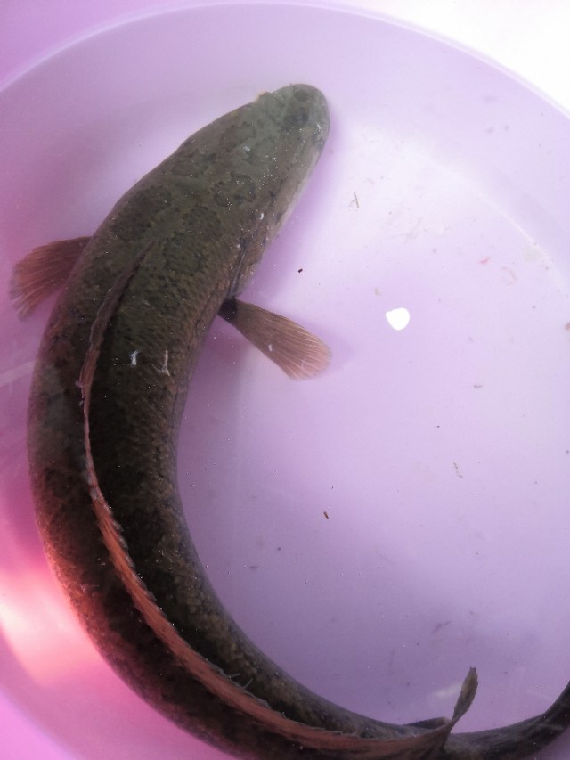 雷强竿新手装备推荐,雷强新手入门