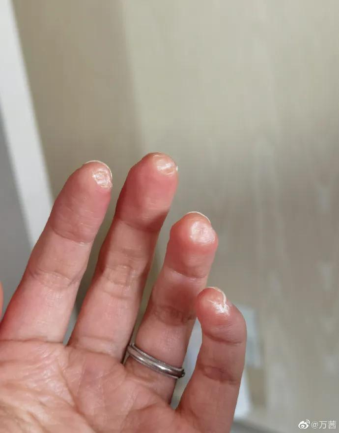 张雨绮宁静互动视频,伊能静宁静张雨绮怼节目组