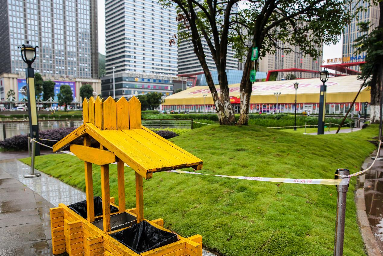 花果园湿地公园草坪,花果园湿地公园阳光草坪