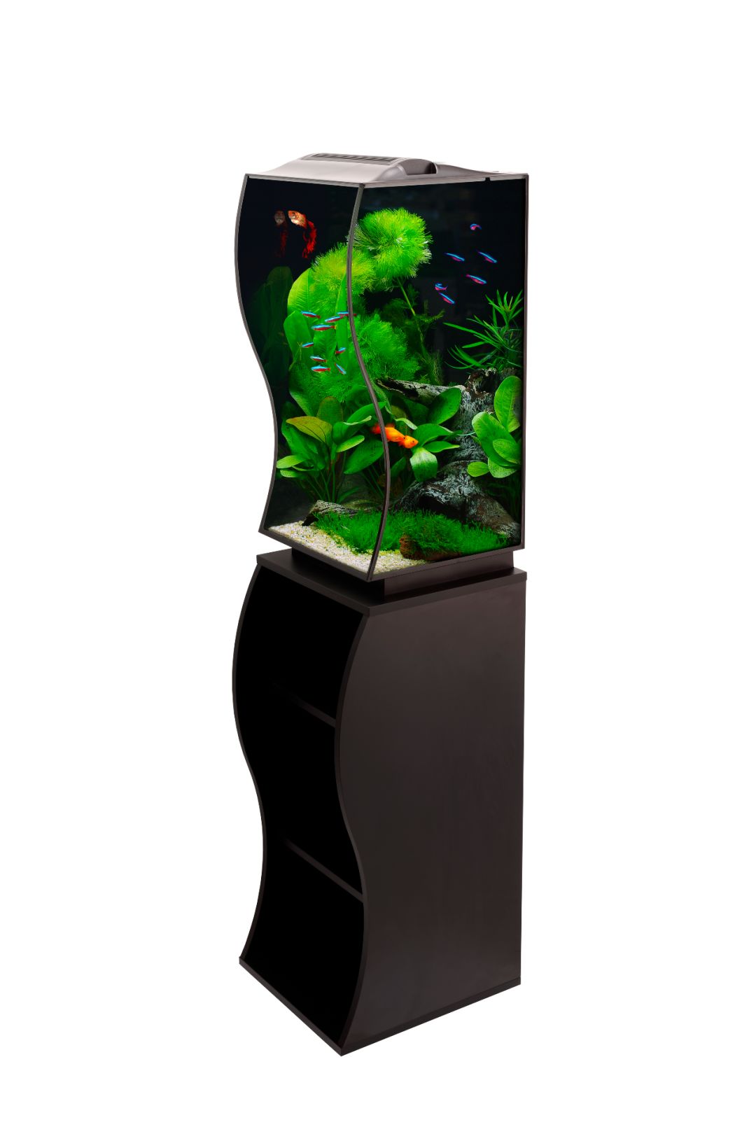 独家，CIPS公布七十款水族新产品，引行业注目