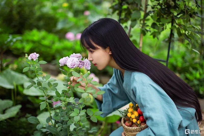 李子柒19岁视频,李子柒背后的资本秘密