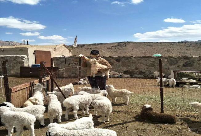 肃北县马鬃山疫情防控电话,肃北防疫情况