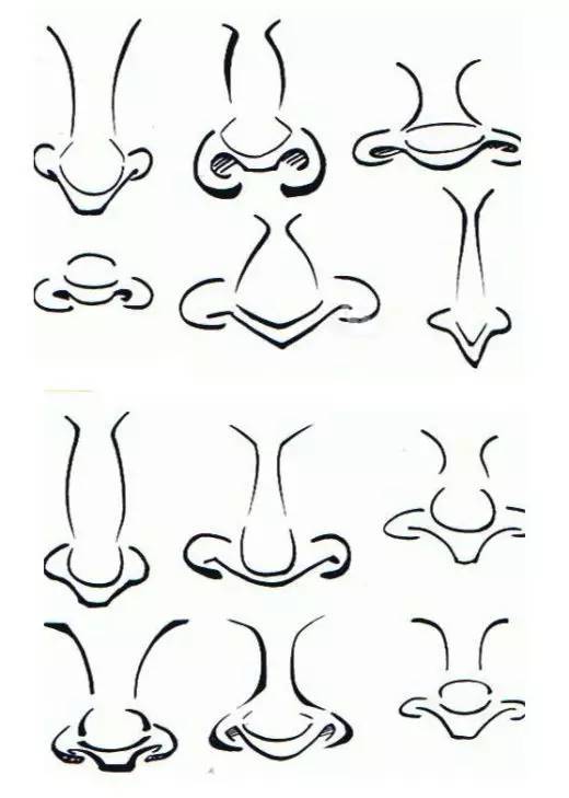 美术速写鼻子教学,美术绘画鼻子教学