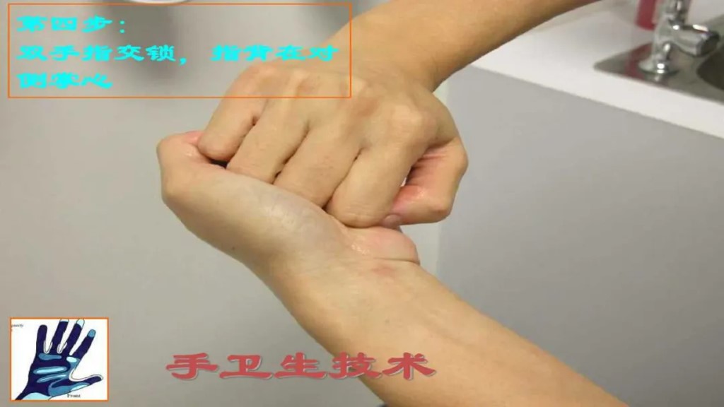 课件-陪护人员医院感染知识培训