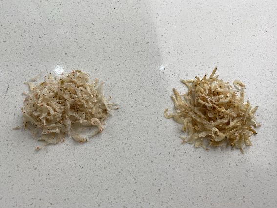 乳糖不耐受喝哪种牛奶比较好补钙,乳糖不耐受为什么不爱喝纯牛奶