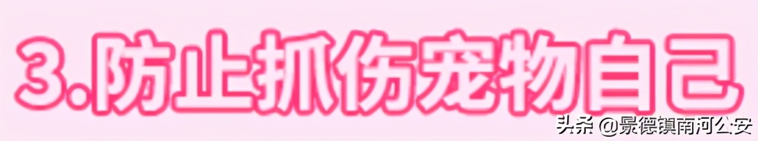“割声带、截肢、电击,当爱变成我的噩梦”