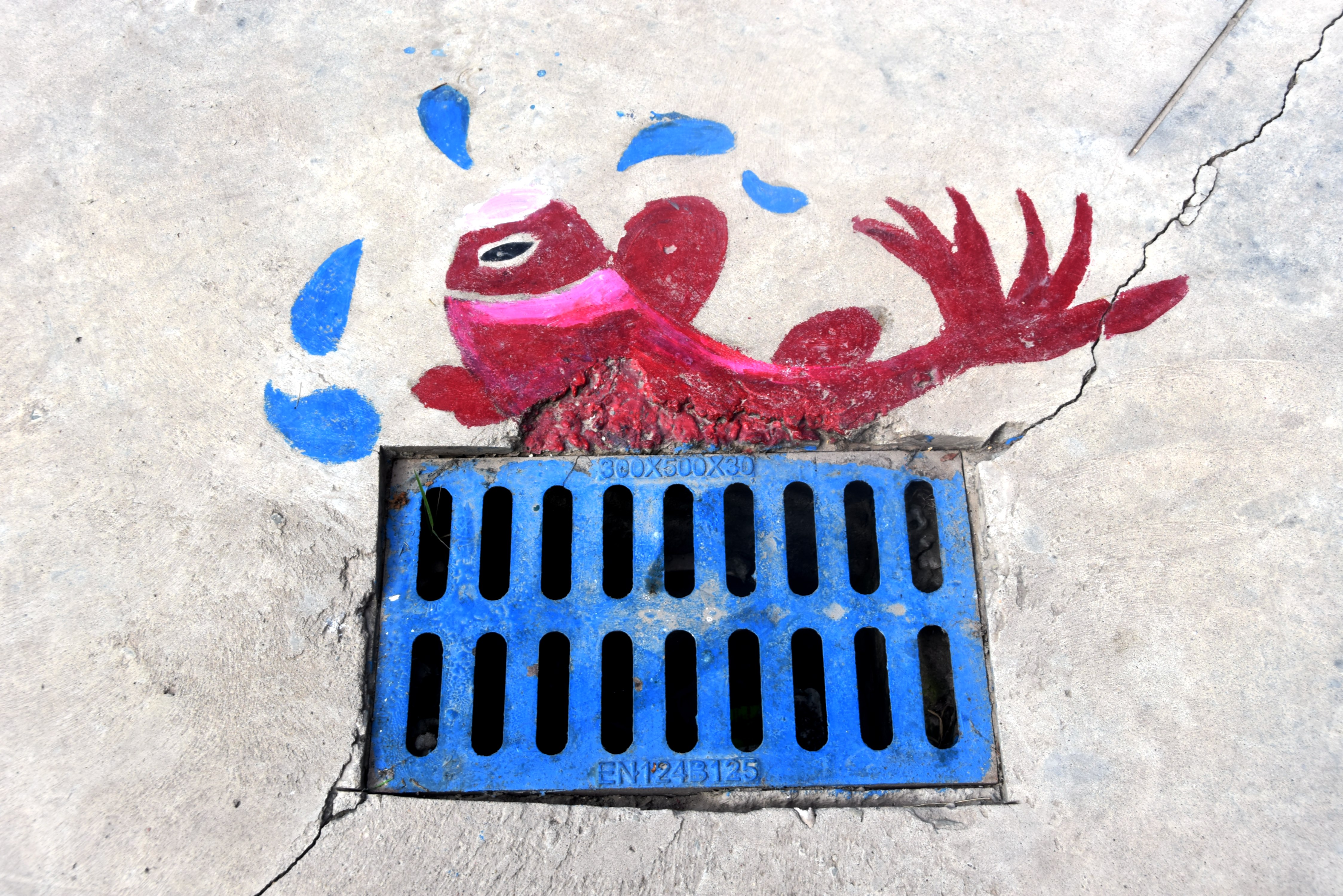 瀛︽牎浜曠洊娑傞甫鍥剧墖,浜曠洊娑傞甫鍥磋