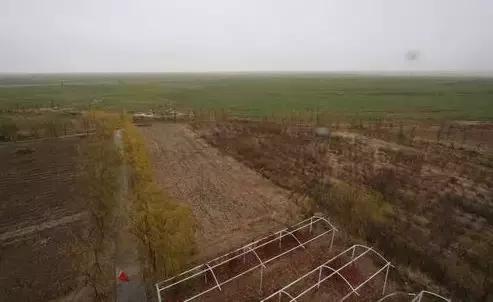 圣牧高科全程有机奶,圣牧高科天赋之旅