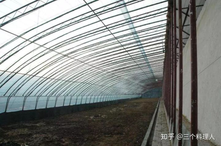 灞变笢鐨勮敩鑿滅粰鍝噷渚涚粰,灞变笢鐨勮敩鑿滈兘渚涘摢閲屼簡