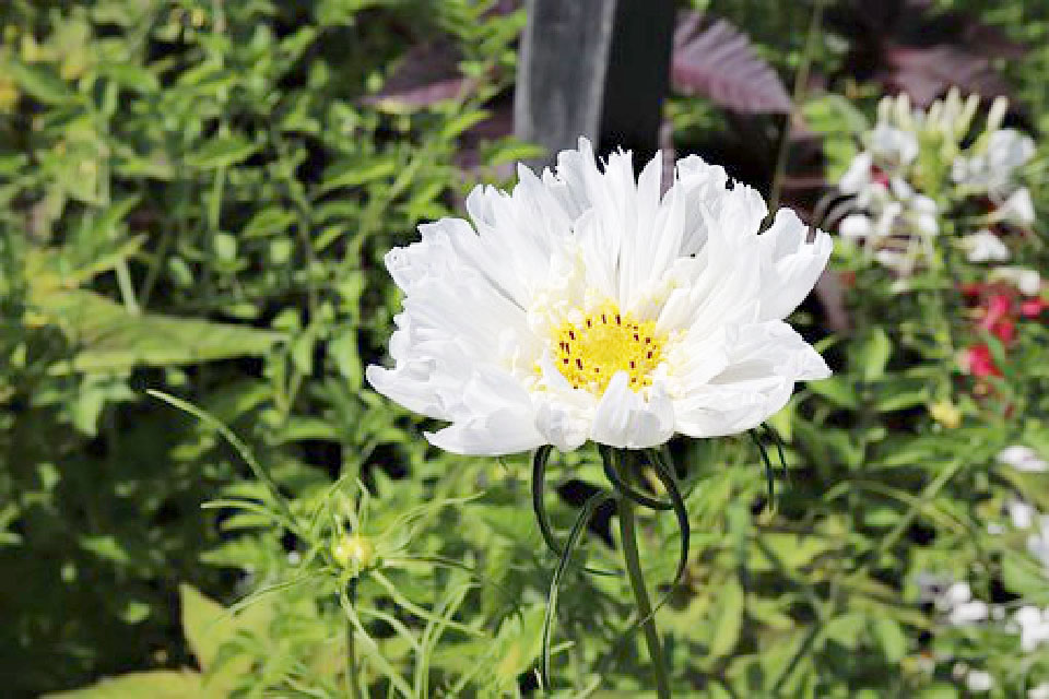 写进心坎的说说短句句句穿透人心,触及心灵的经典说说