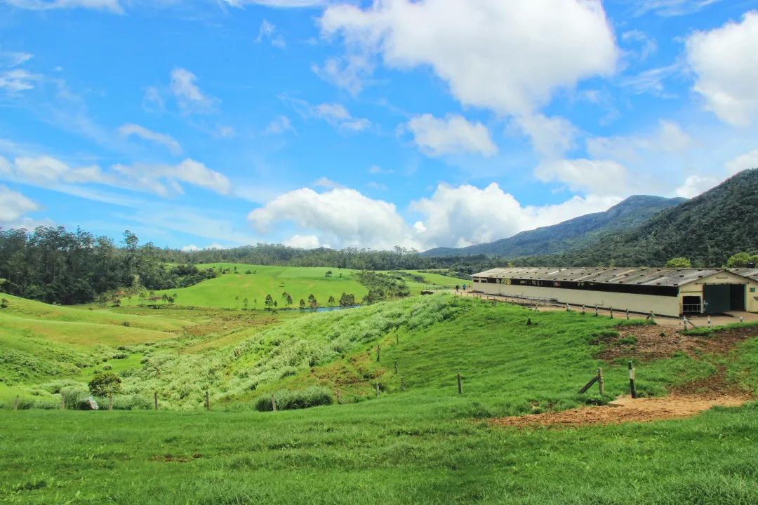 怎样才算家庭农场,怎样才能有自己的农场