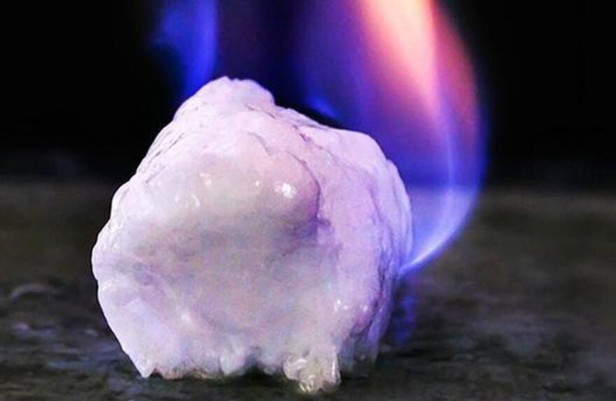 地球有史以来最大的蛇,地球上一千大最凶猛的蛇