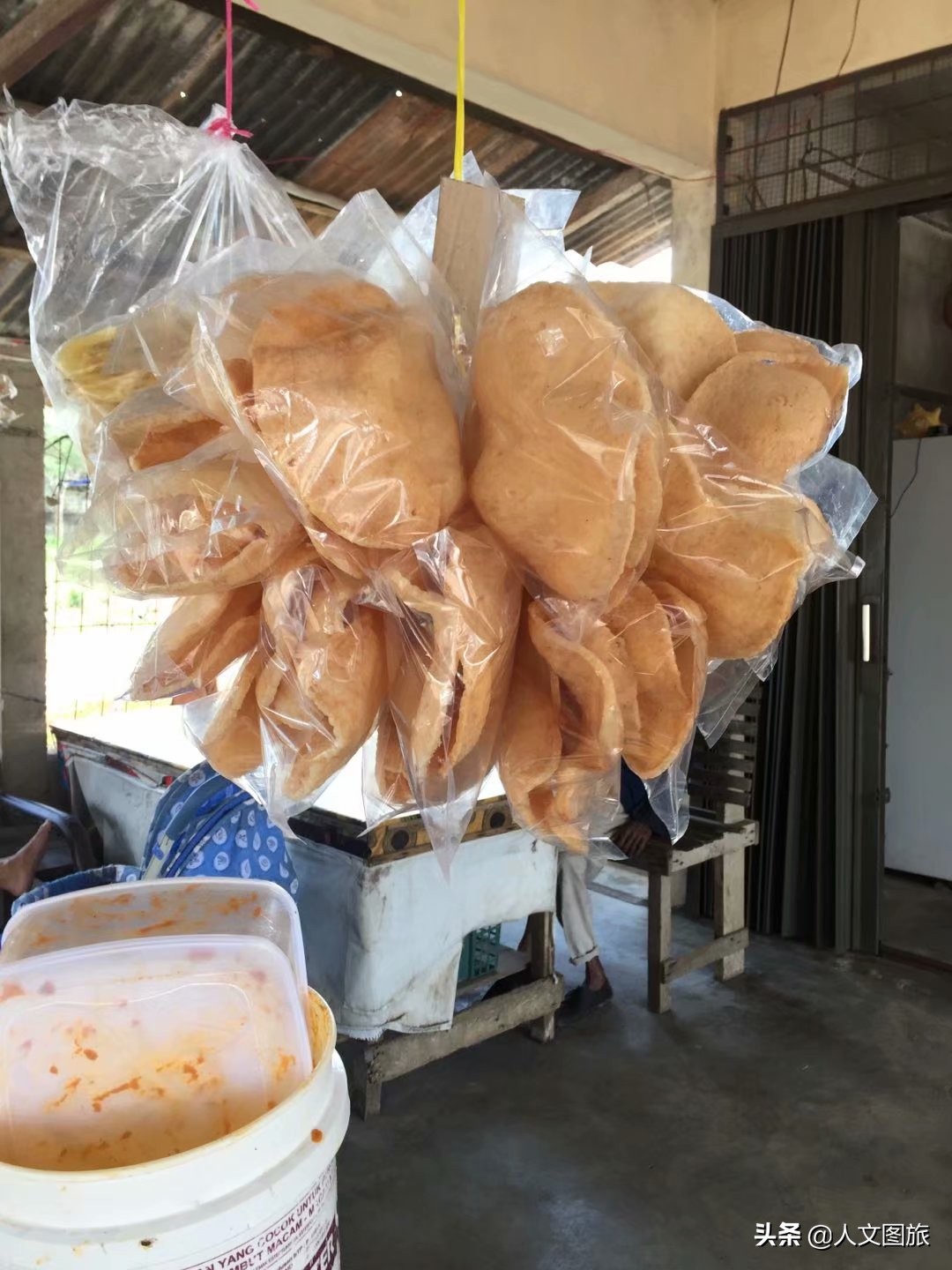 印度尼西亚松巴岛红树林,印度尼西亚的红树林牛角螺