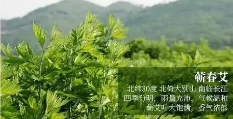 淋了秋雨身体会怎么样,淋了雨受寒怎么祛寒气