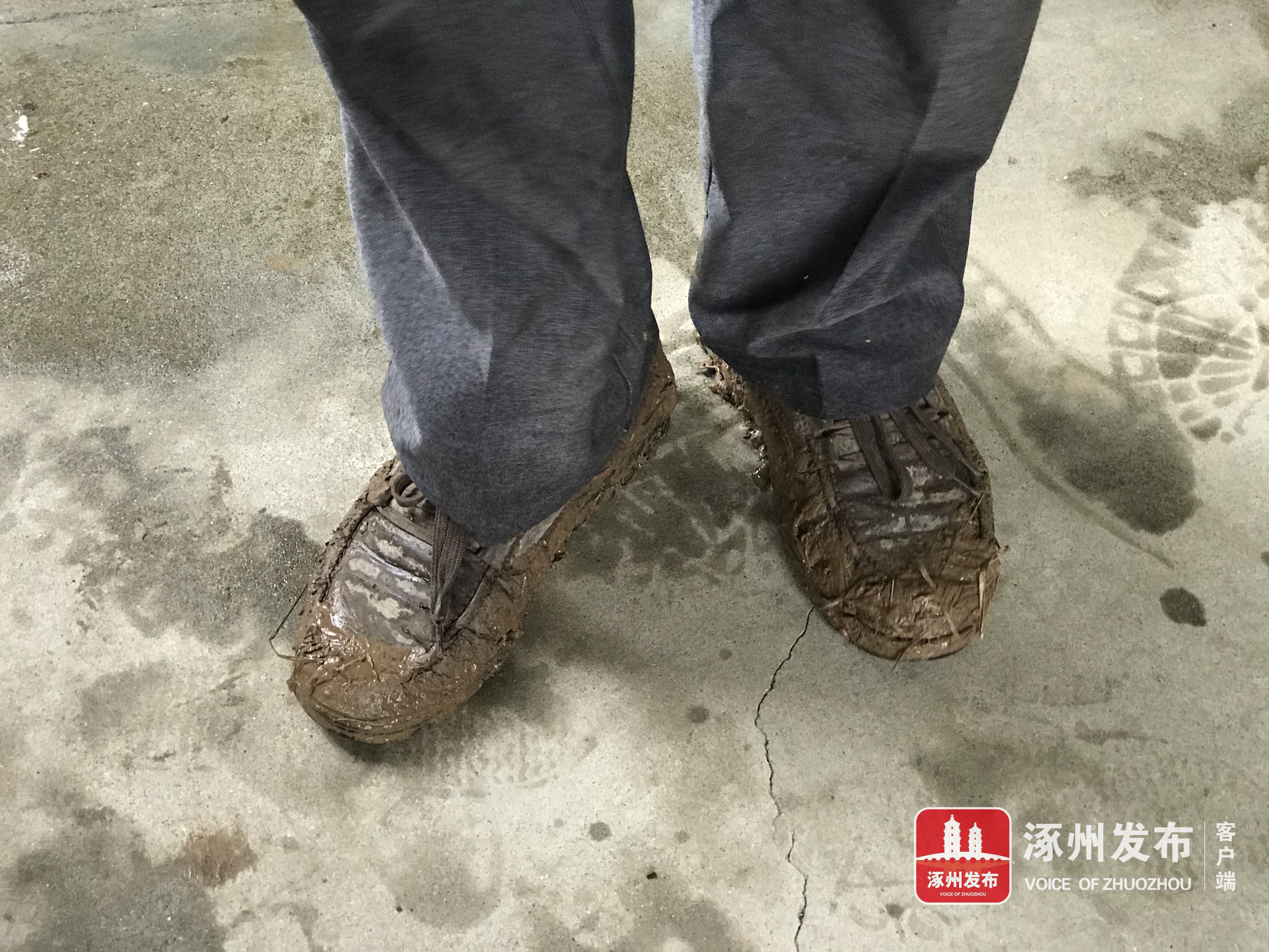 甜甜猕猴桃视频,陕西眉县猕猴桃酸甜刚刚好