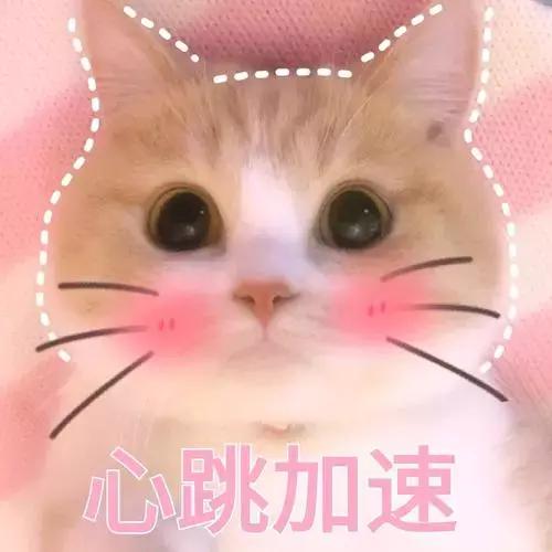 被抖音种草的粉底液,被疯狂种草的底妆