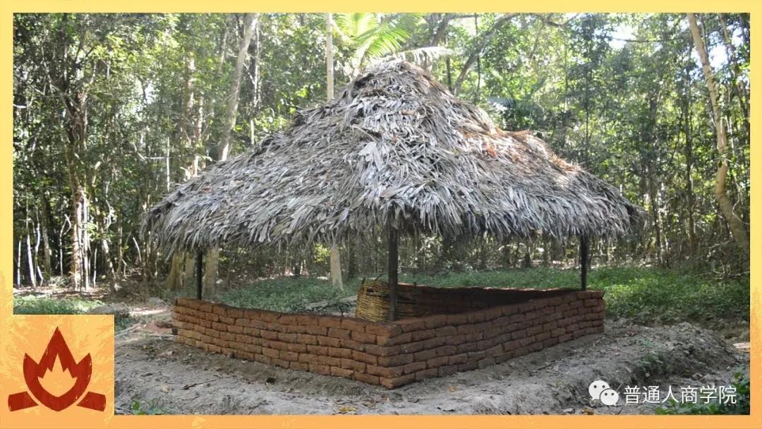 国外版的李子柒男的,日本版李子柒vs中国版李子柒