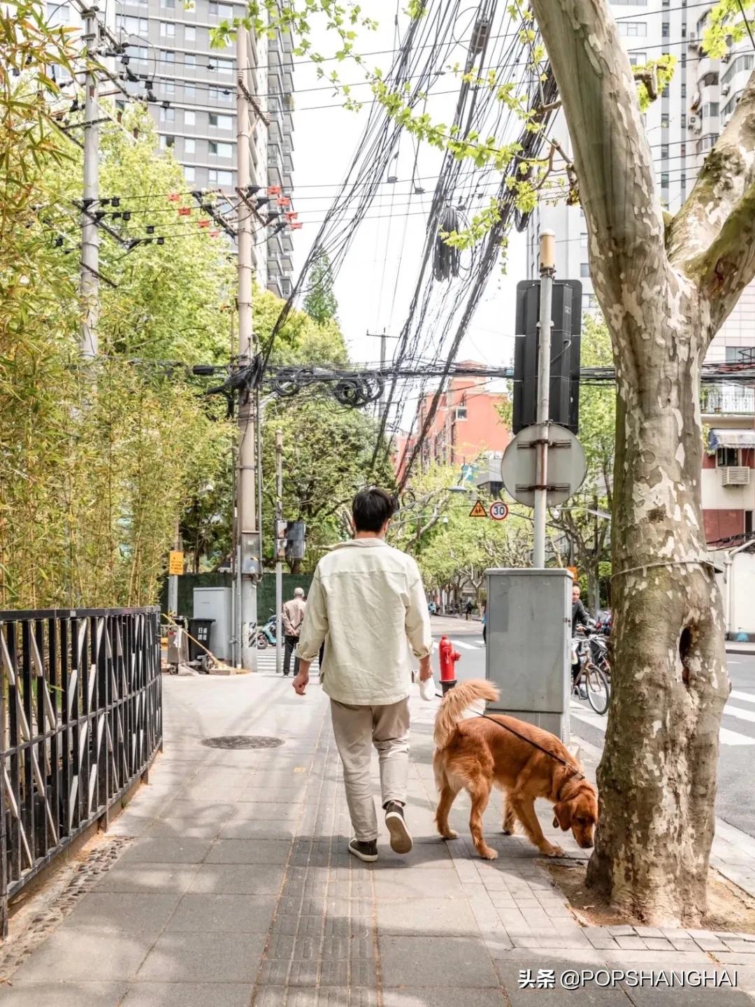 90后夫妻自己开咖啡馆,90后夫妻开咖啡馆