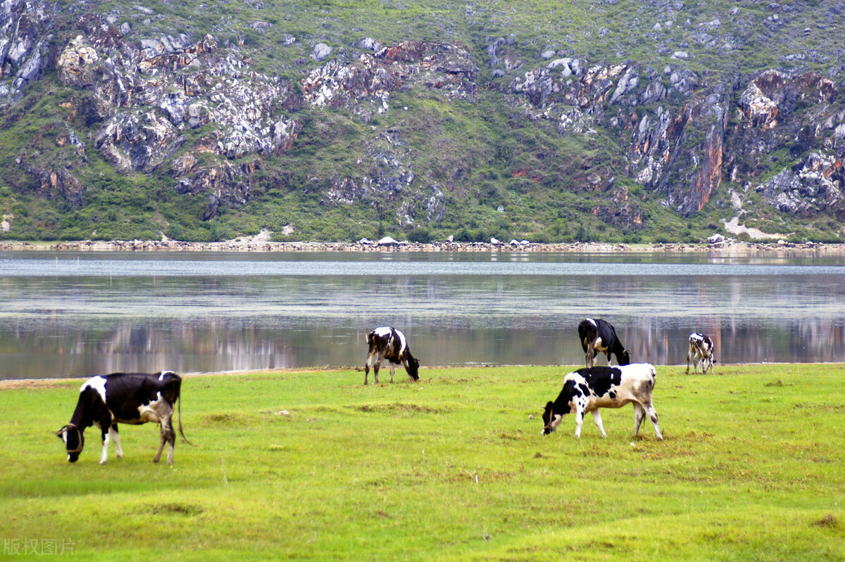 云南自驾游公路崎岖险要吗,云南自驾最美的路段