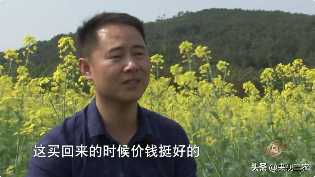 80后小伙返乡创业带着乡亲发羊财,95后小伙半年存款27万