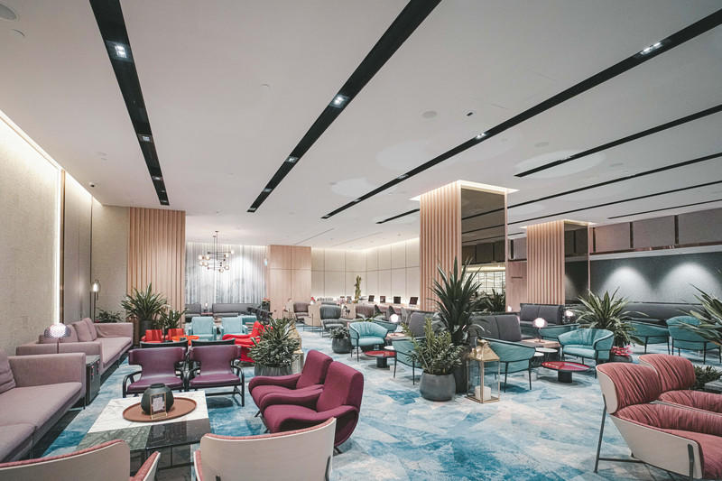 一人一猫环游,一人一猫旅行