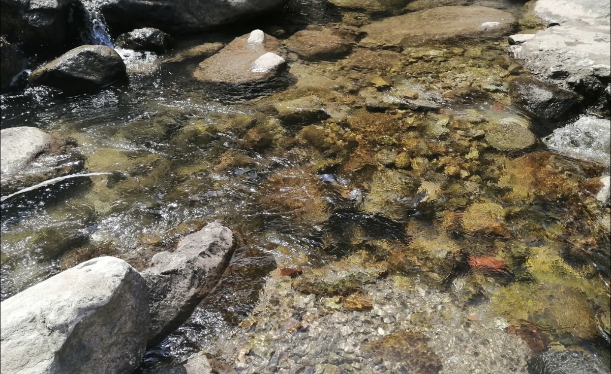 秦岭漂流附近可以烧烤的农家乐,秦岭烧烤农家乐推荐一下