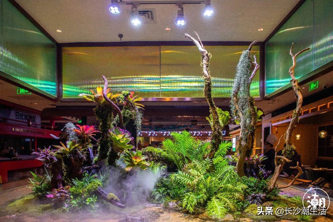 上海海鲜自助餐厅,上海海鲜自助餐厅哪家性价比最高