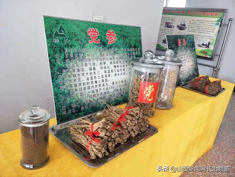 “我们身边的二青会”系列报道之五：看精彩赛事品屯留美食